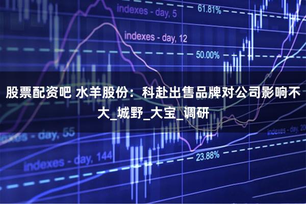 股票配资吧 水羊股份：科赴出售品牌对公司影响不大_城野_大宝_调研